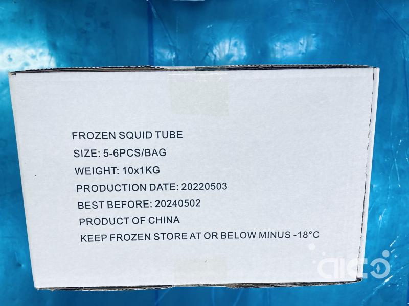 Frozen Squid Tube China Squid Supplier Aico Seafoods