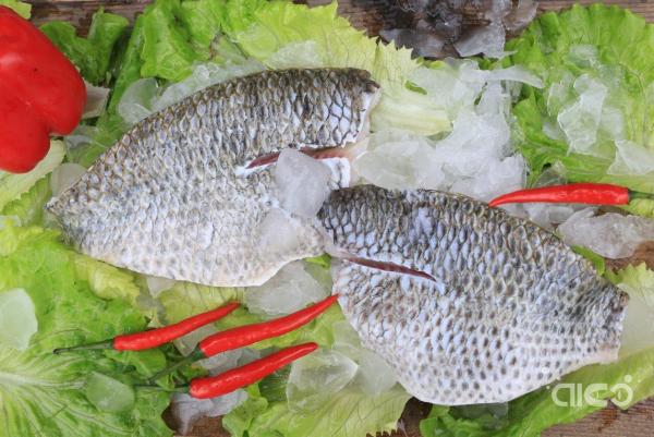 European market tilapia purchase intentions rise, retailers focus on supply chain stability