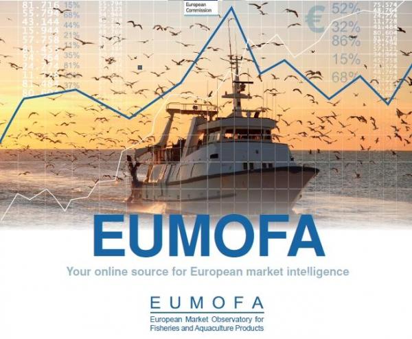 EUMOFA: Inflation Severely Affects Aquatic Consumption and Exports!