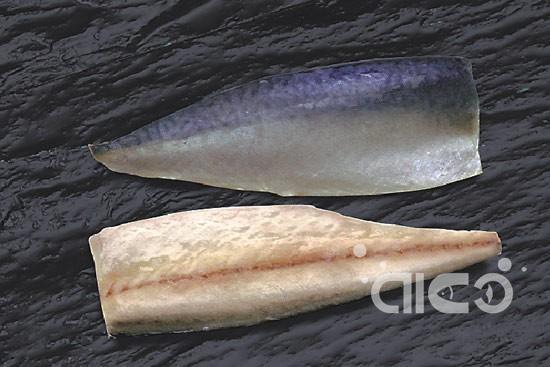 Mackerel Fillet (Scomber Japonicus)